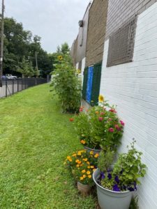 A grass strip next to a white brick building. The building is lined with flowering plants.