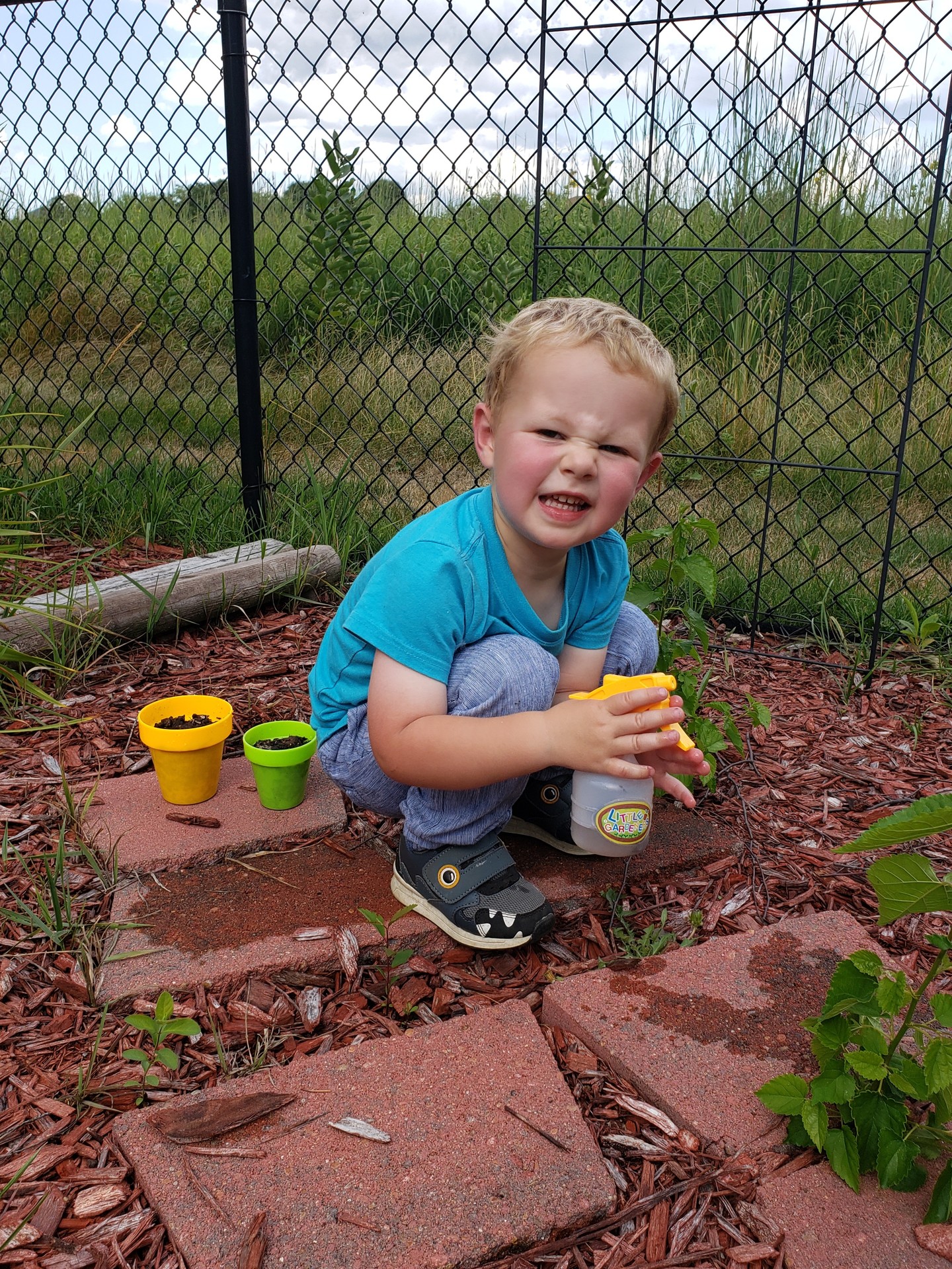 A child squatting down in a garden, holding a spray bottle and watering a plant