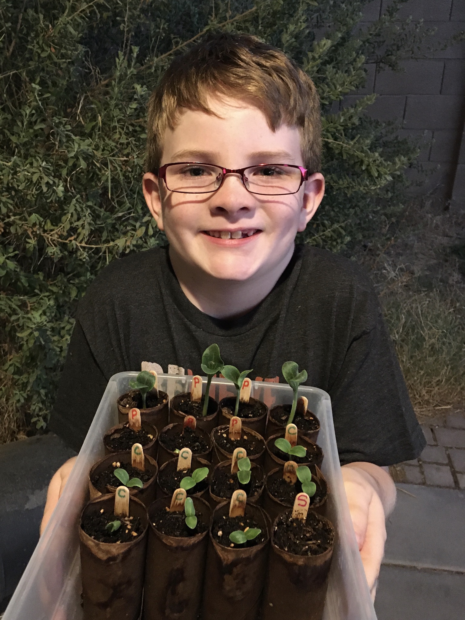 A child wearing glasses holds out a tray of seedlings