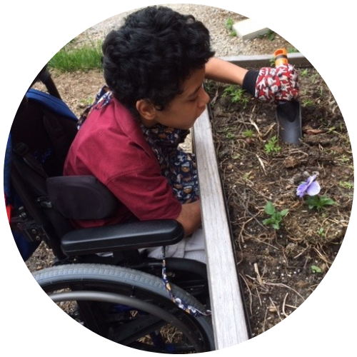 A child in a wheelchair uses a trowel in a raised garden bed