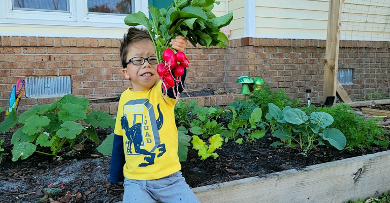 A child in a yellow t-shirt holds up a bunch of radishes in front of a raised bed garden