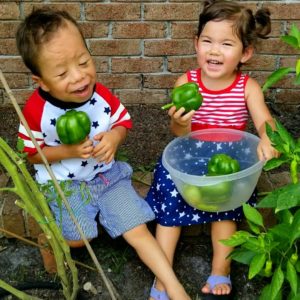 Two kids sitting in a garden, holding green peppers