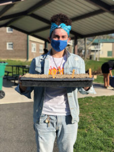 A person holding a tray of seedlings