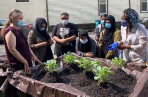 A group of students circles around a garden bed