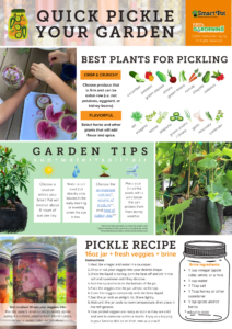 Quick pickle your garden Garden Activity Pack image