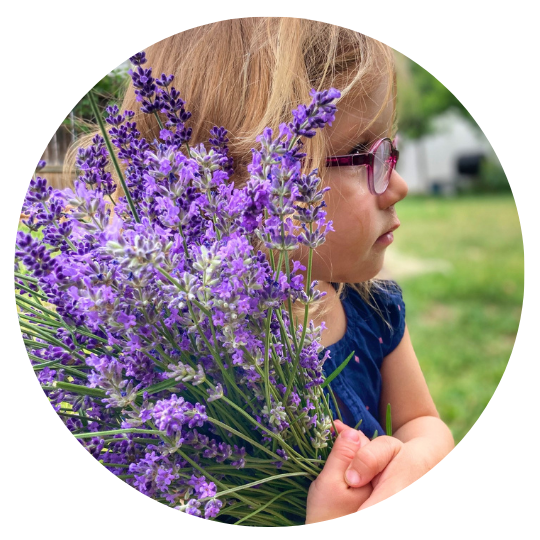 A child holds bouquet of lavender next to their head.