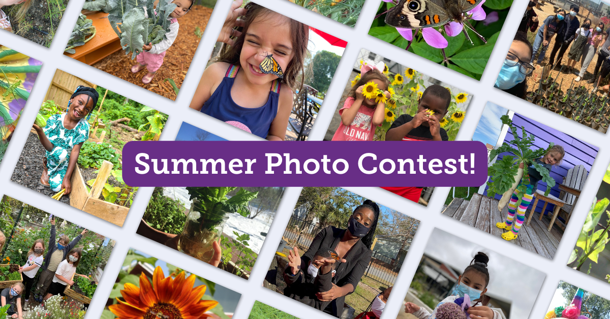 Summer Photo Contest KidsGardening