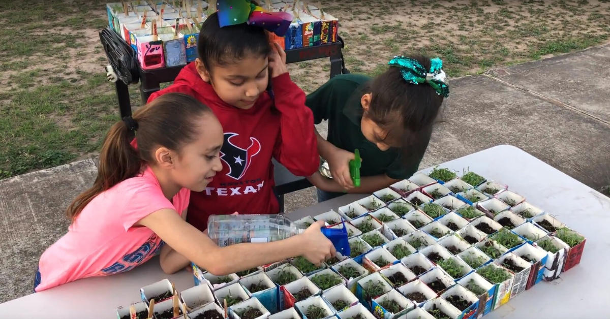 Repurposing Milk Cartons for the Garden KidsGardening