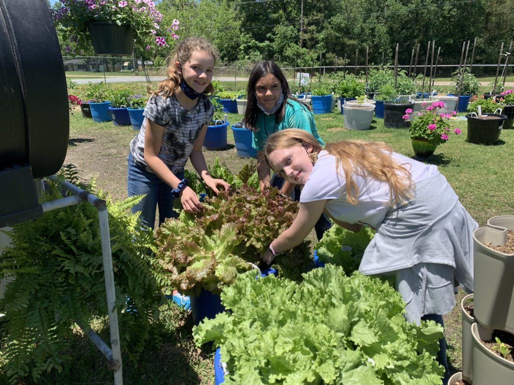 Three kids lean over a raised garden planter and look at the camera