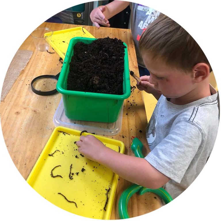 A child handles worms on a yellow tray. Next to them is a green bin filled with soil.