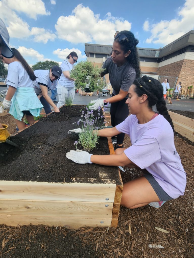 People planting in a raised bed