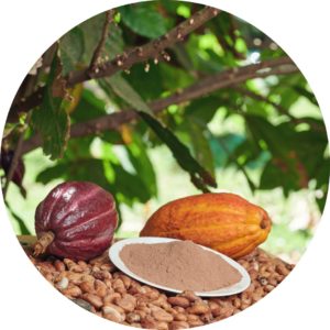 Creating with Chocolate