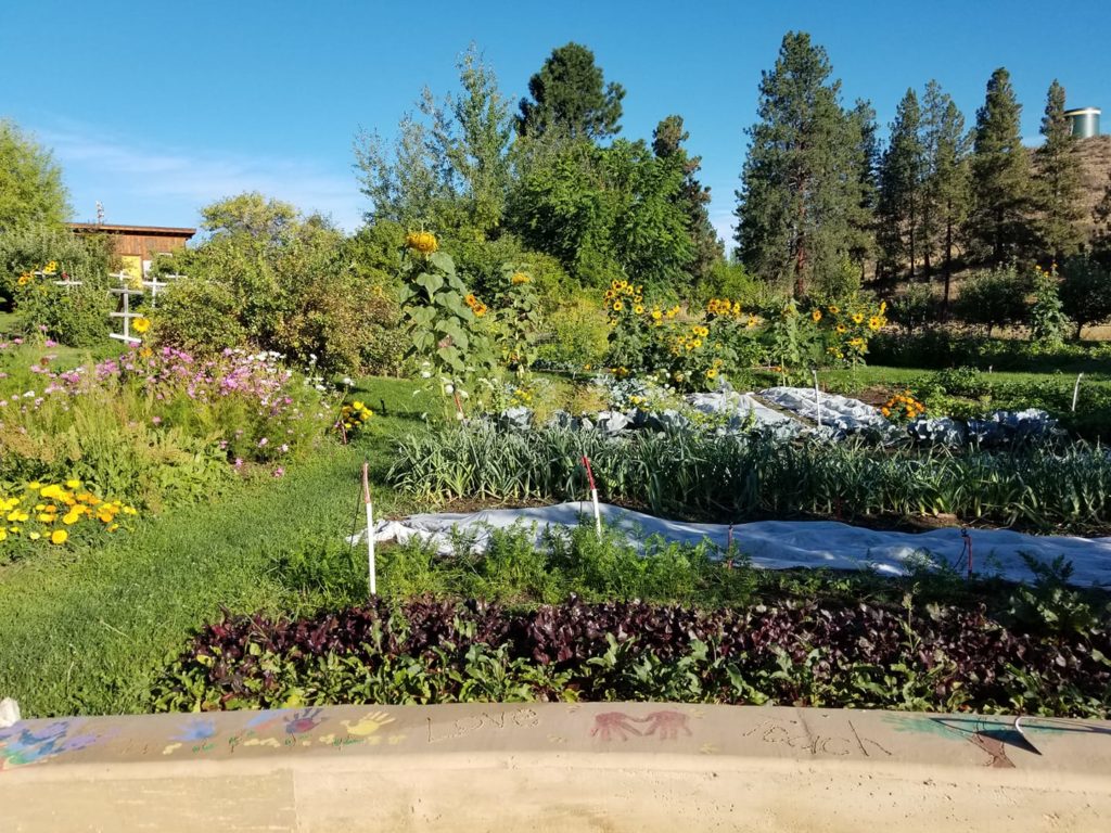A scenic garden image