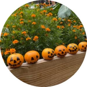 Pumpkin Play
