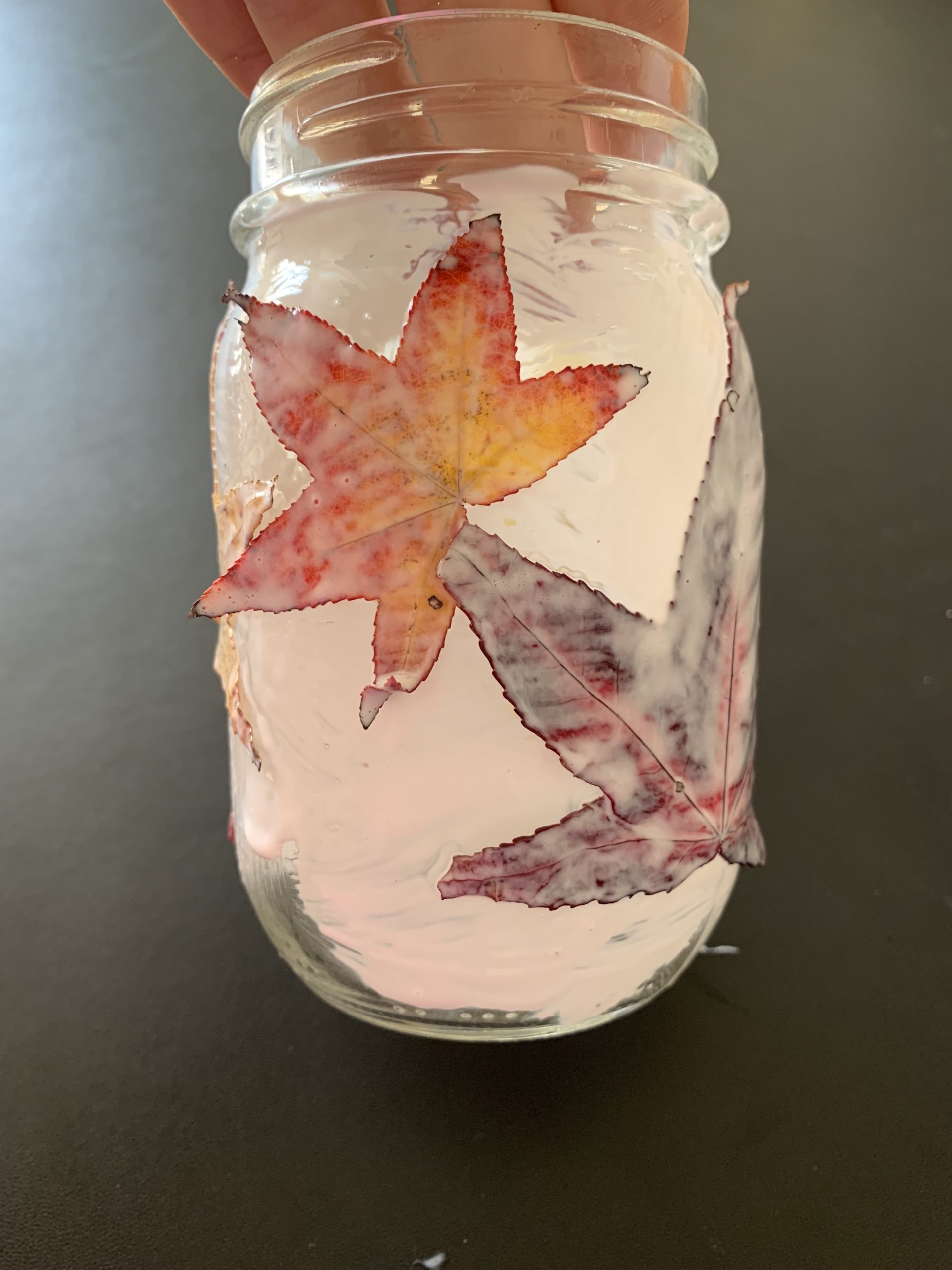 Glue-covered leaves covering a jar