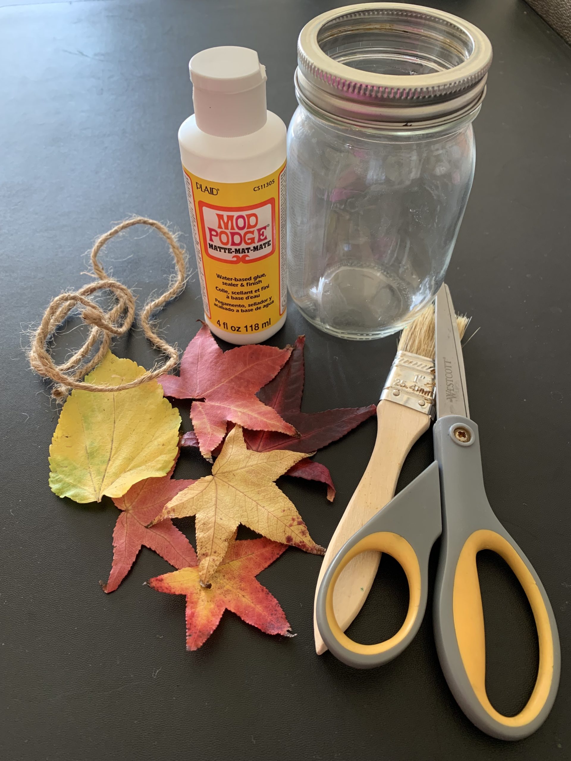 leaves, twine, mod podge, a jar, scissors, and a paintbrush