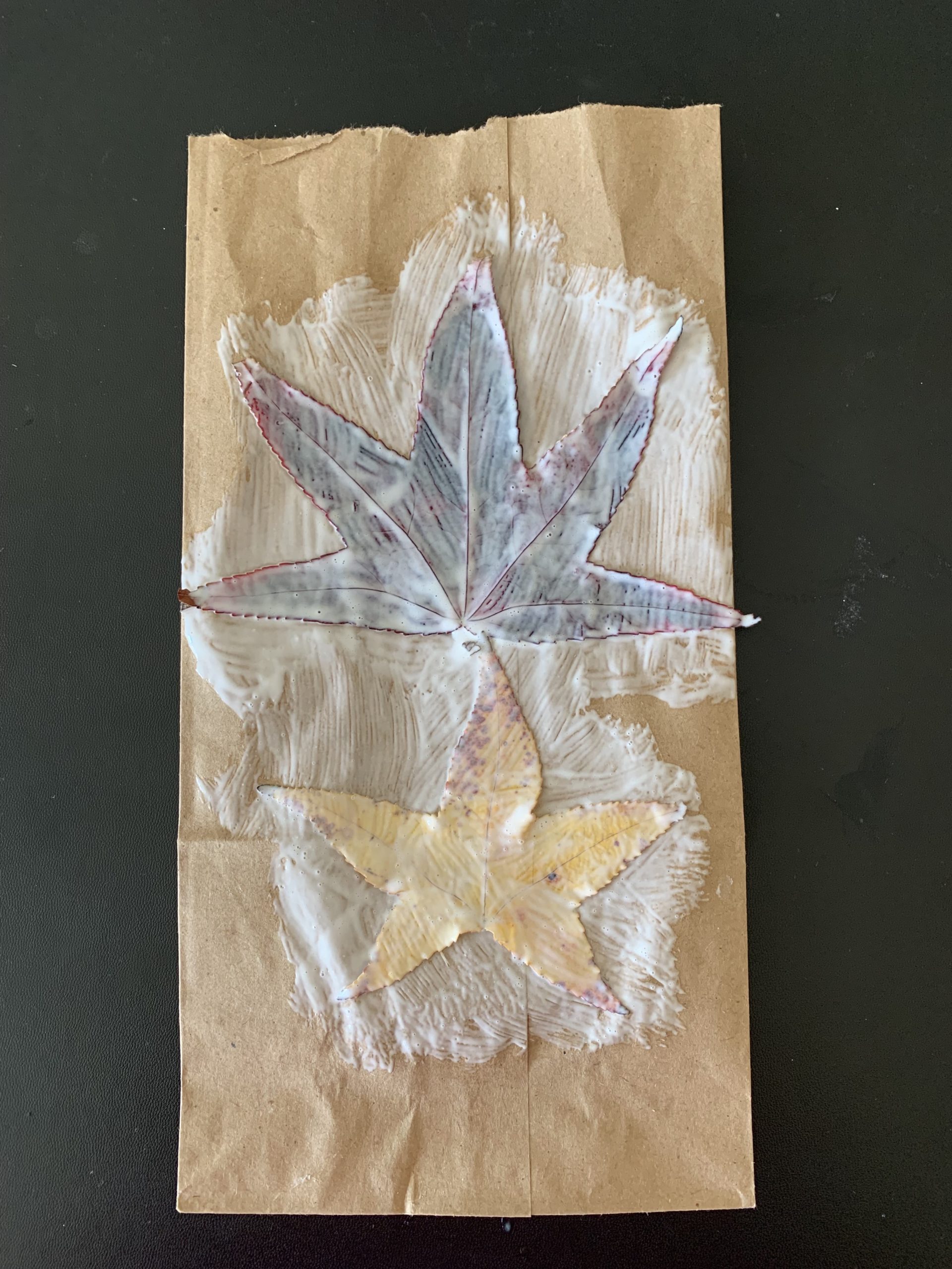 Leaves glued on a paper bag