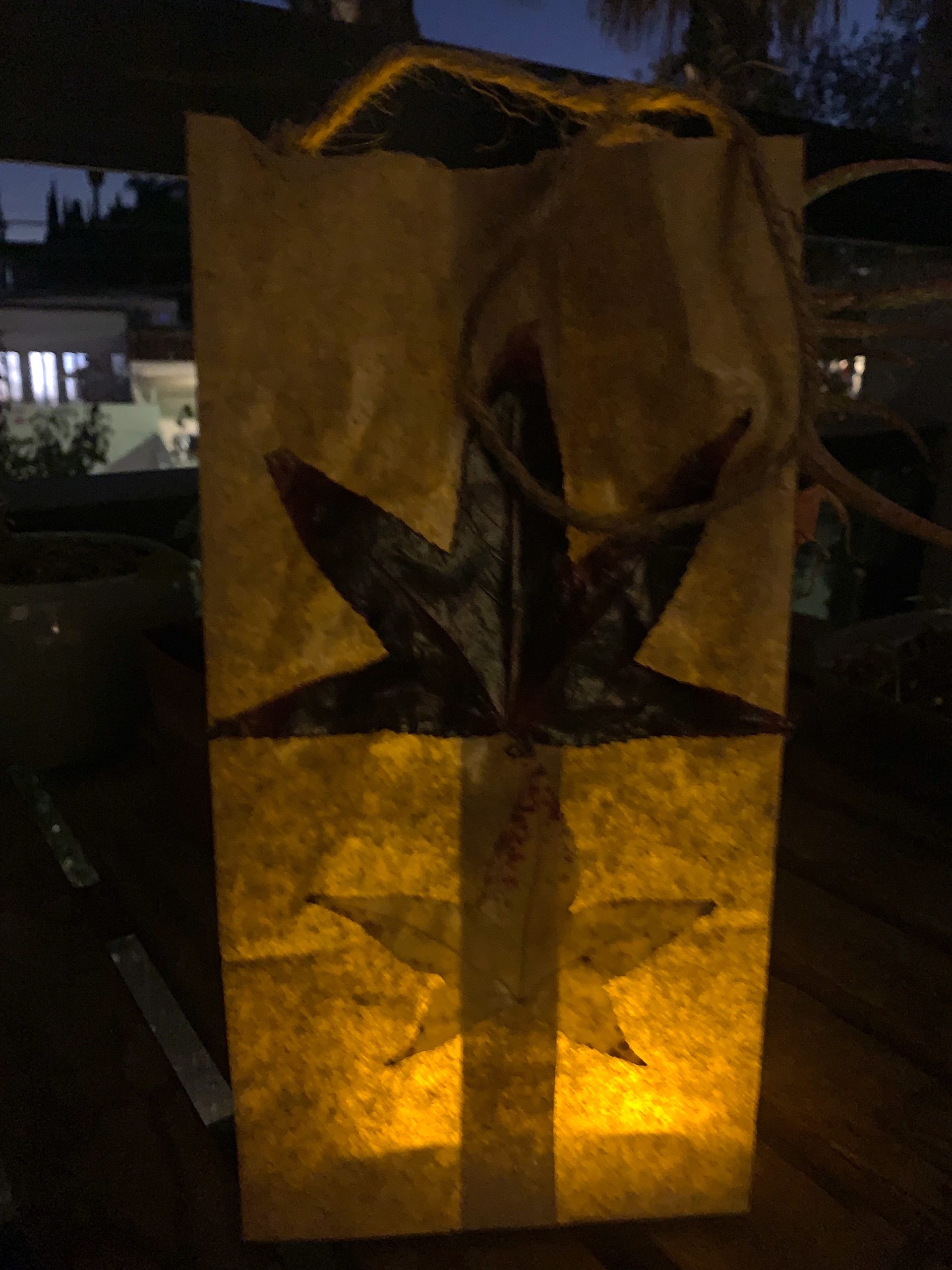 Paper bag leaf lantern