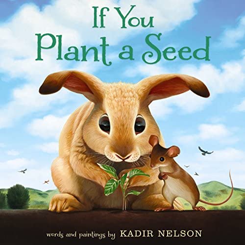 The cover of the book If You Plant a Seed, which shows a bunny.