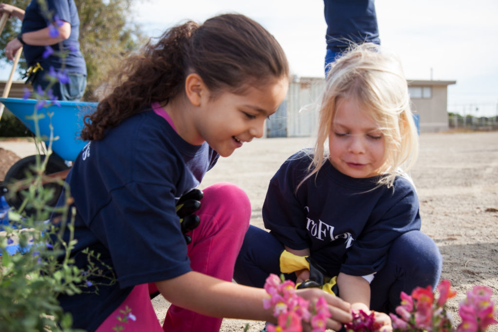 Two kids squatting down and looking at pink flowers.