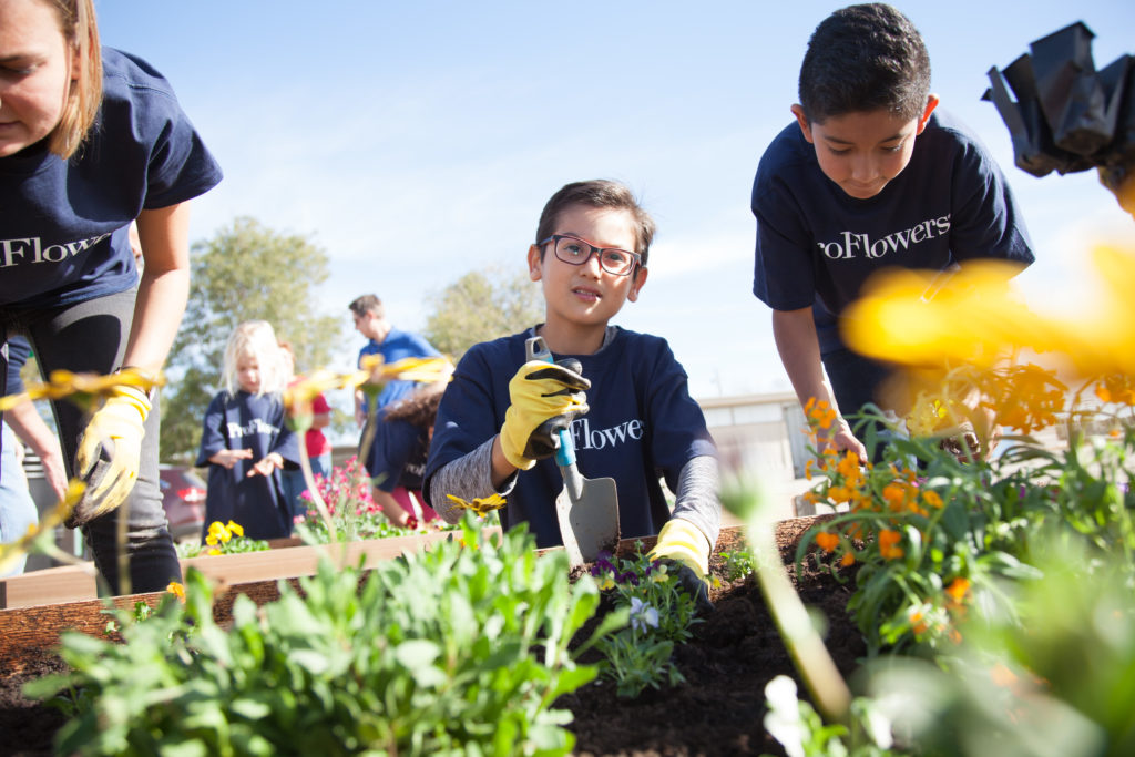Kids leaning over a raised bed filled with plants and flowers.