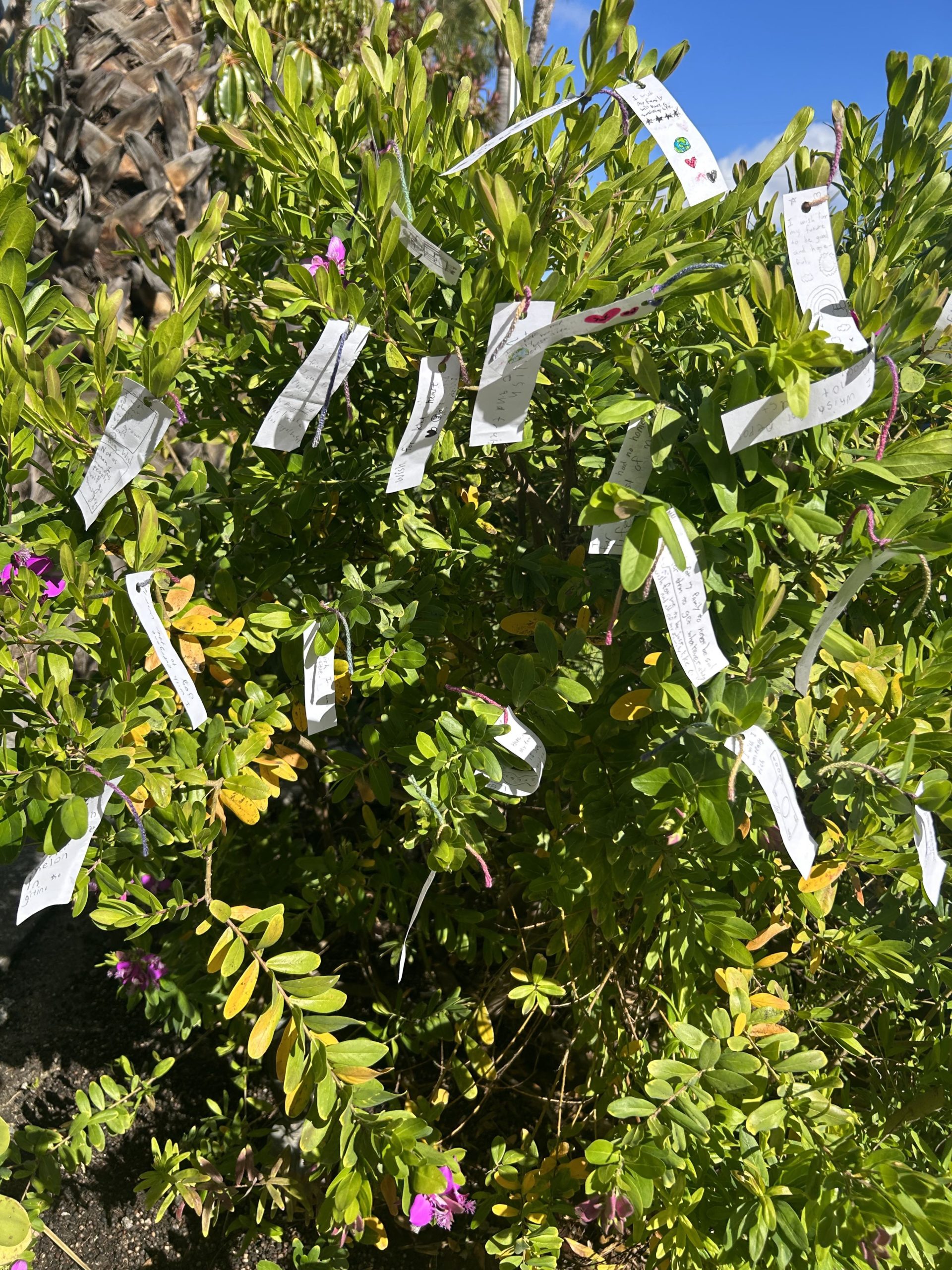 pieces of white paper tied to a bush