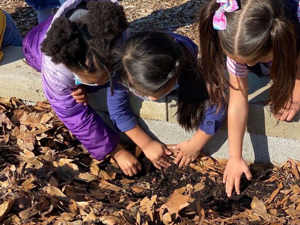 Three kids looking through brown leaf mulch in a raised garden bed.