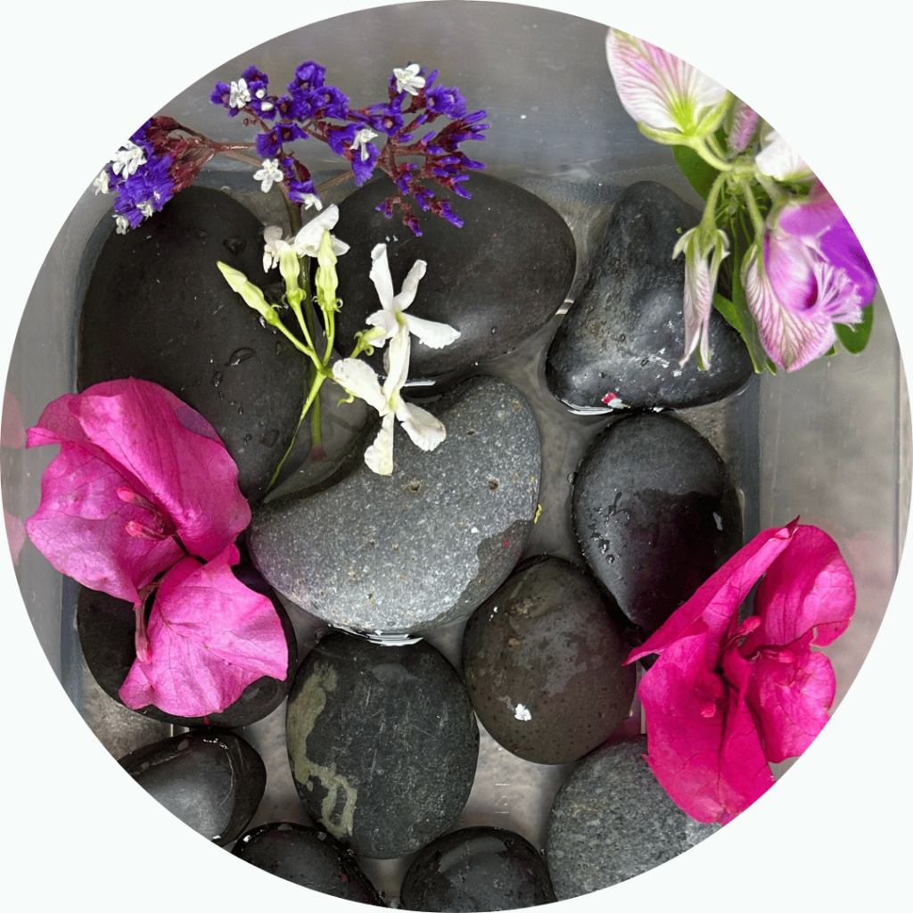 Rocks and flower petals