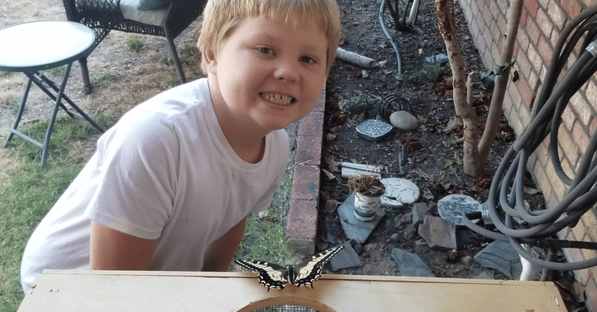A child sitting behind a table with a live butterfly on it
