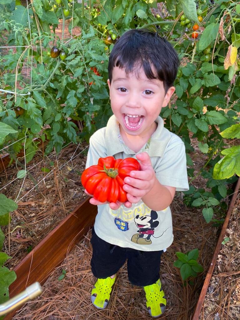 An excited child holding a red heirloom tomato