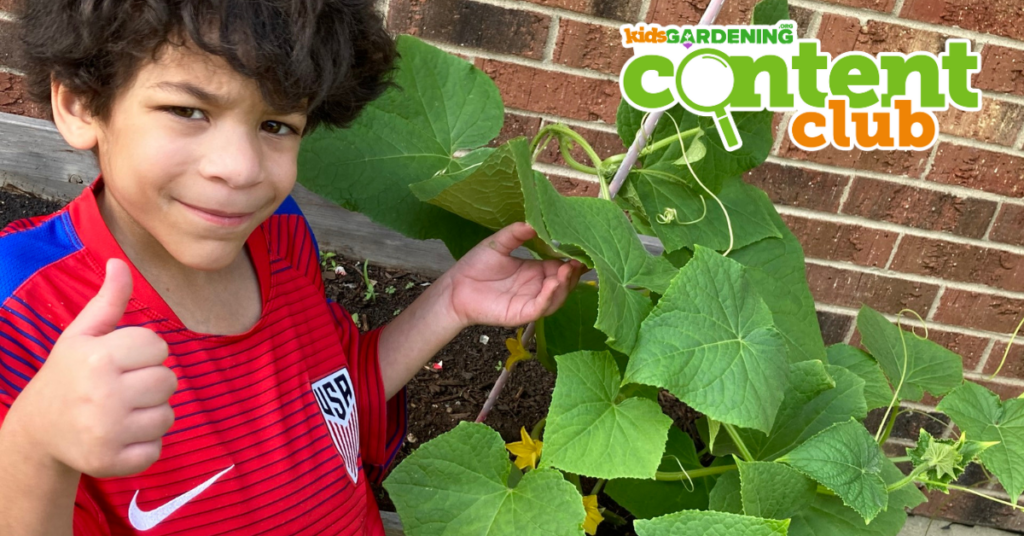 A child in a red shirt gives the thumbs up next to a squash plant. There's a logo in the upper right corner that says KidsGardening Content Club.