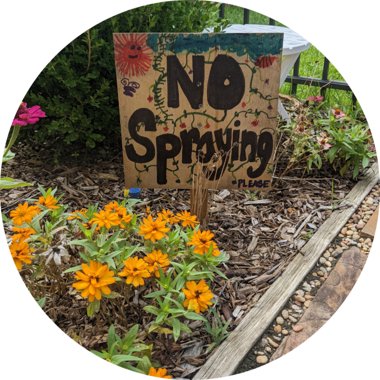 A garden sign that says "No Spraying" next to the orange flowers