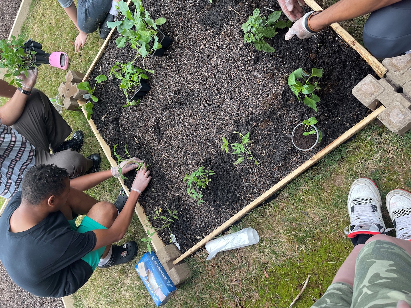 Teens are working in a raised bed garden. Their faces are not visible.