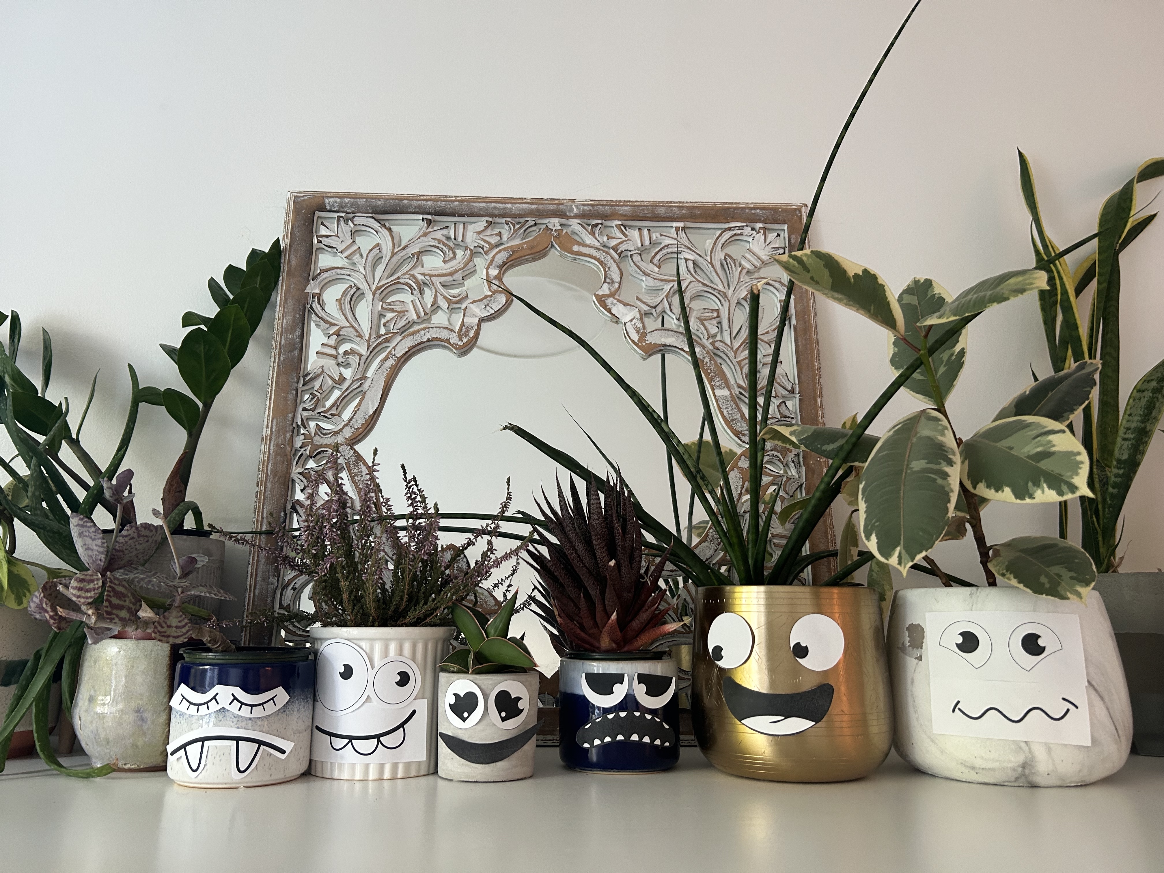 IMG_3051 A row of house plants lined up in pots with funny faces on them. Some of the faces are looking at each other.