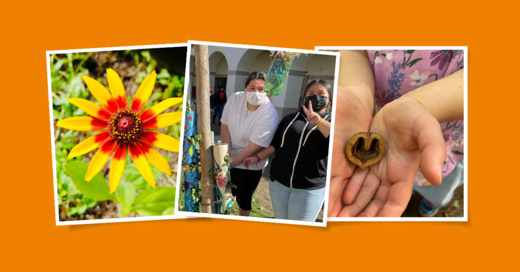 A collage of three images: a yellow and red flower, two kids in a garden, and a child holding out a heart-shaped tree nut.