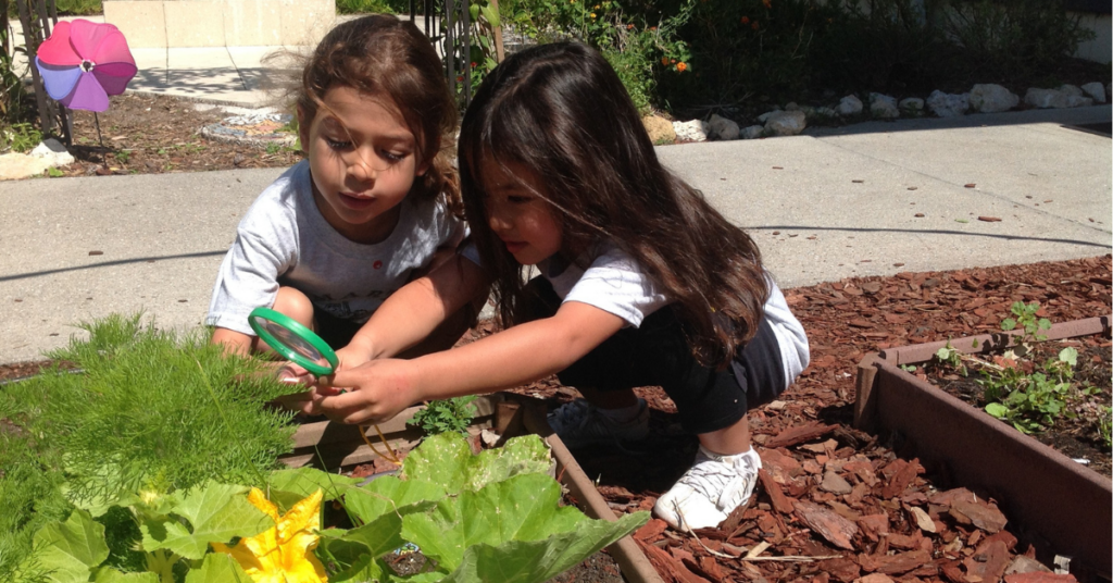 Two girls in a garden, using a hand lens to examine leaves closely.