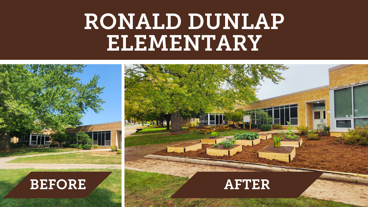 A collage image that reads Ronald Dunlap Elementary at the top. On the left is the front of a school labeled "before" on the right is the same area but with a bunch of raised beds and mulch labeled "after."