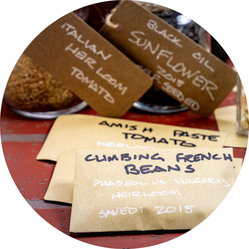 Handmade seed packers with labels written in sharpie.