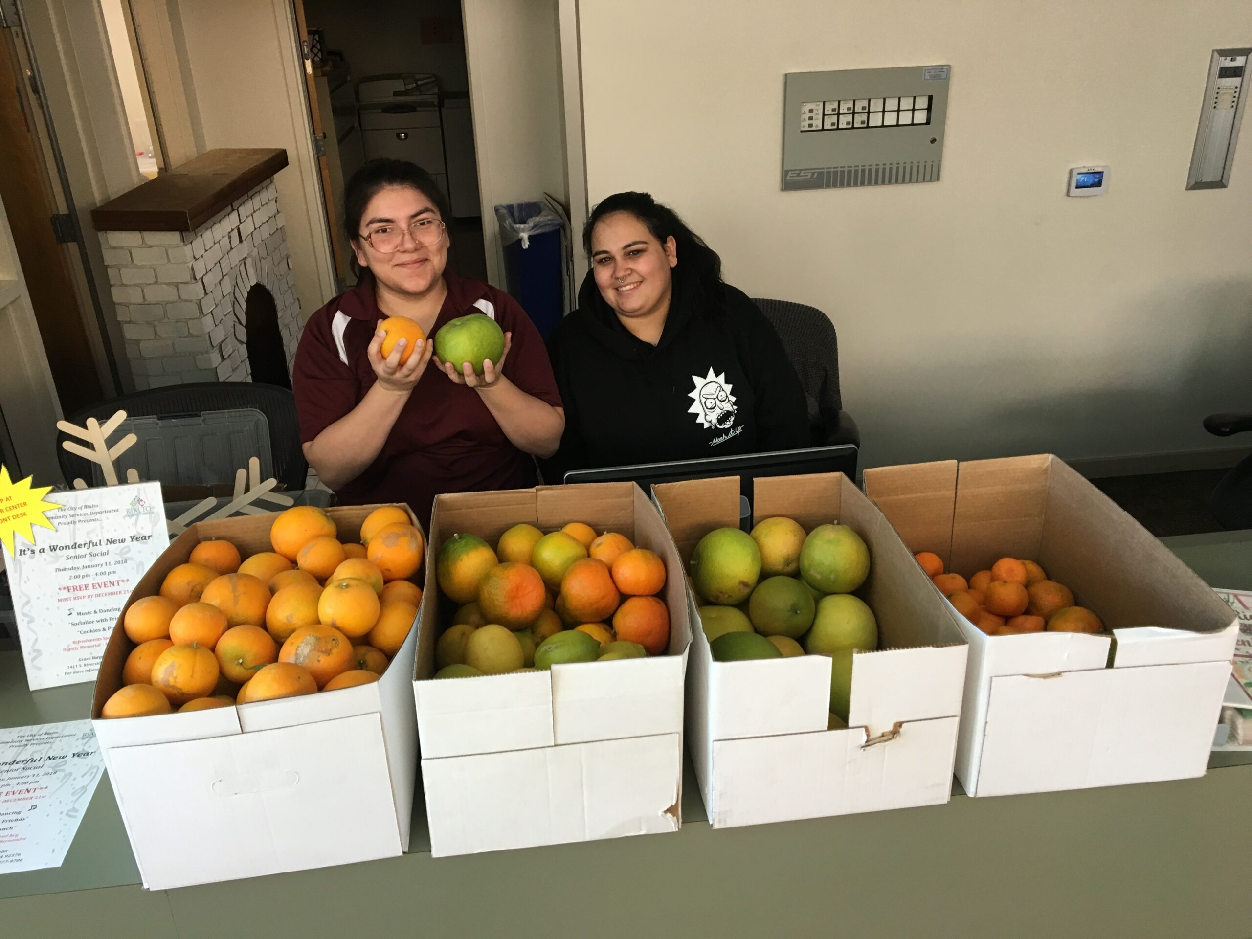 Two adults sitting behind four large boxes of citrus.