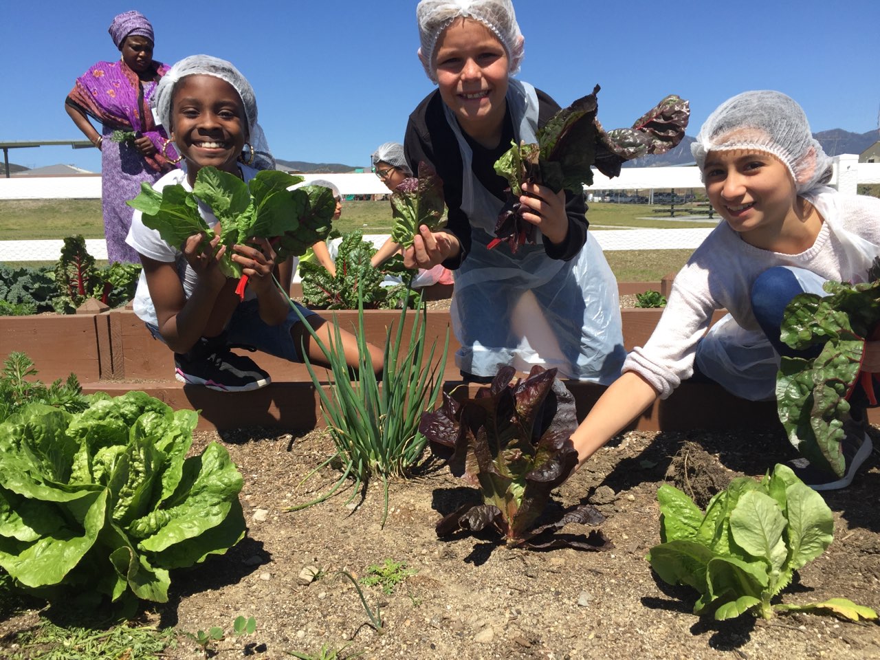 Three kids in a garden, harvesting produce and wearing hairnets.