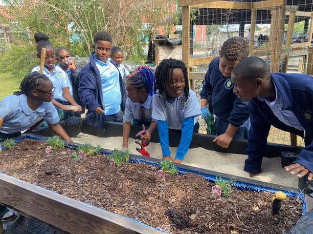 Kids gathered around a raised garden bed.