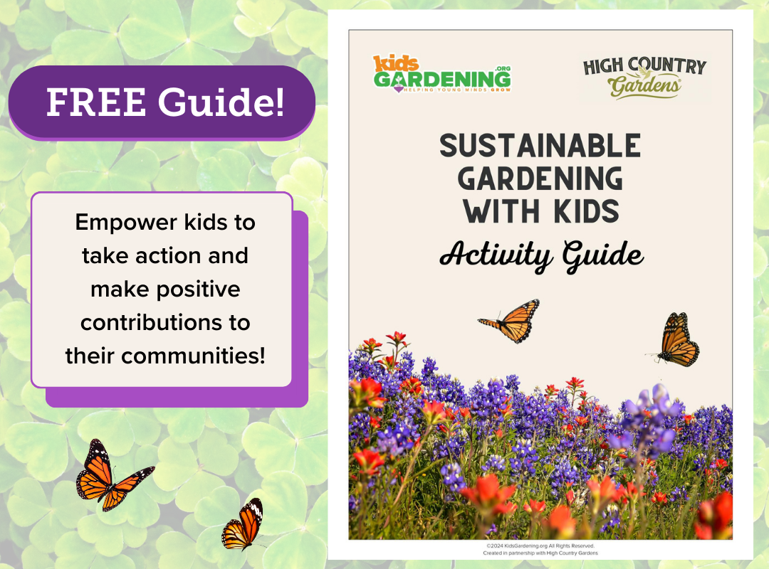 Sustainability guide