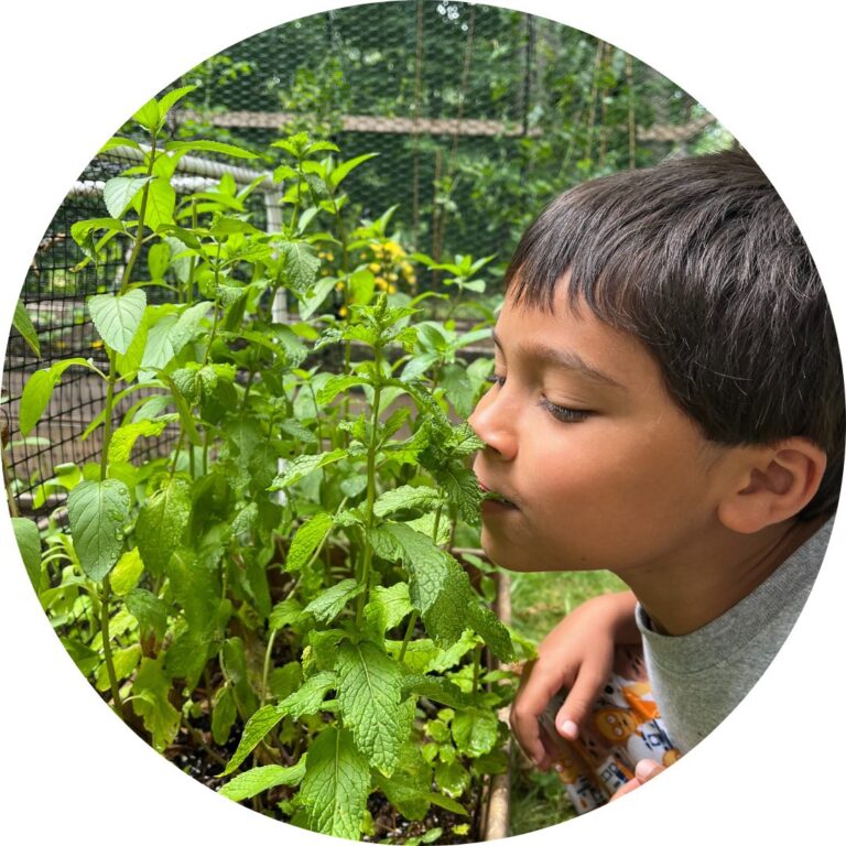 A child with short dark hair has their eyes closed and is sniffing a green plant.