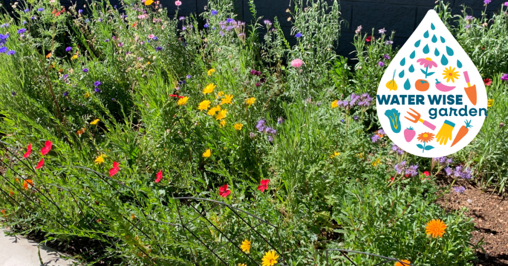 A flower garden with a colorful logo reading Water Wise Gardens