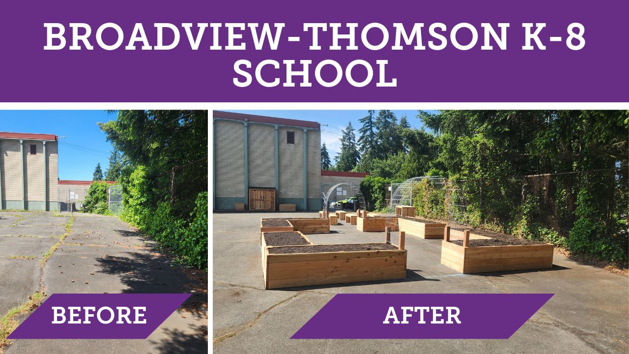 Broadview-Thomson K-8 School. Two photos, one is labeled "before" and shows a paved area. The "after" photo shows raised beds filled with soil.