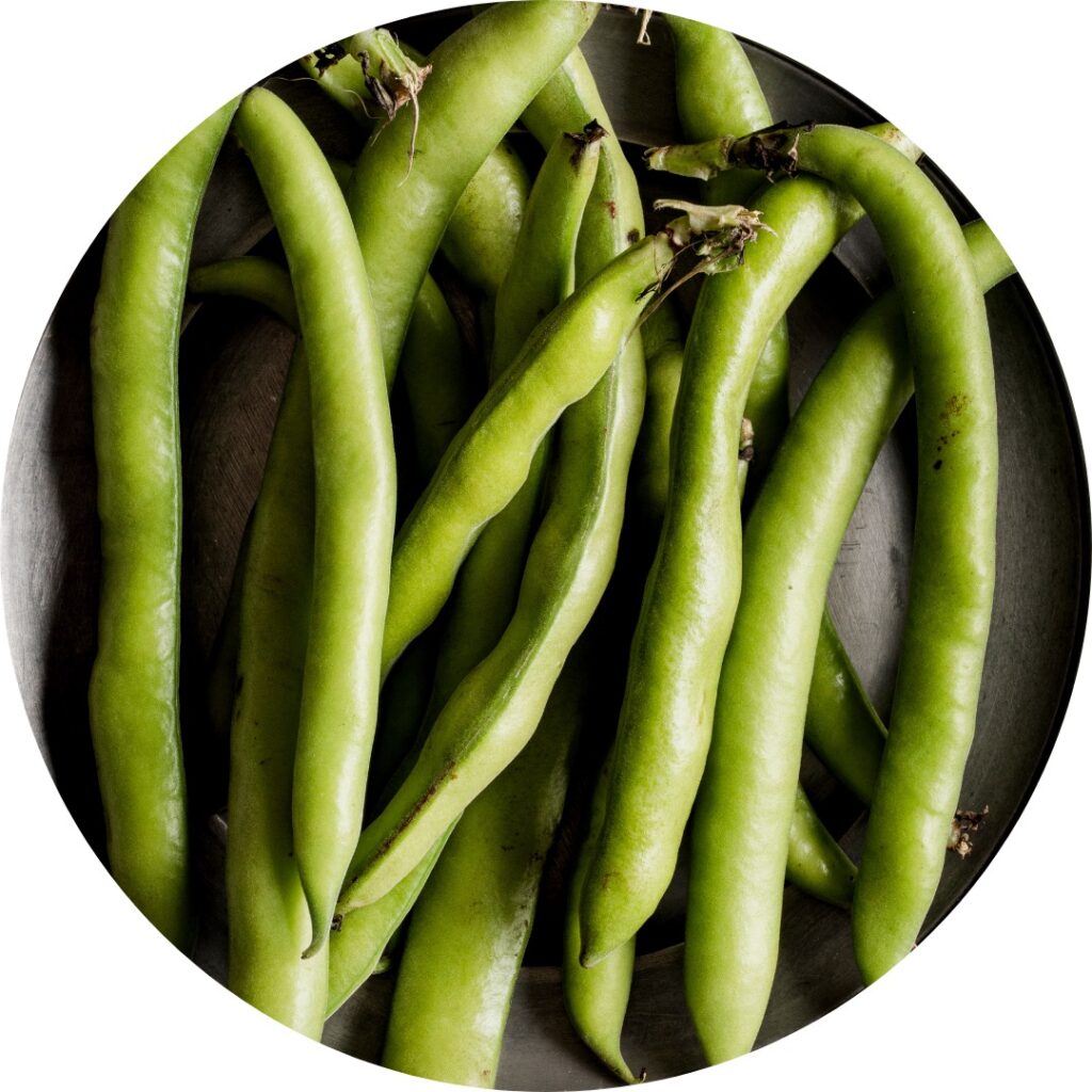 Fava beans, long green bean pods.
