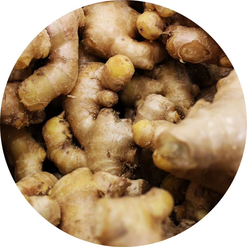 Ginger root