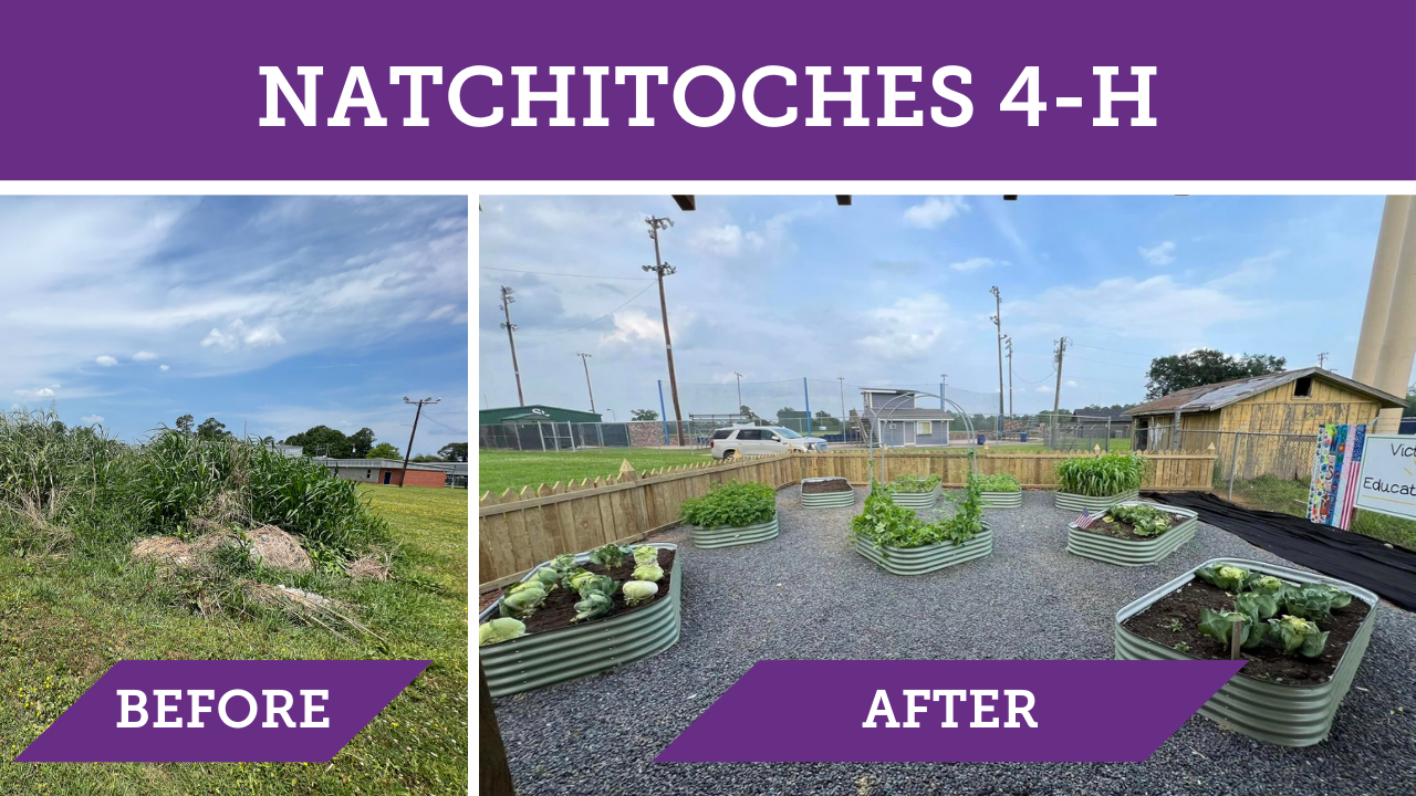 Natchitoches 4-H Before and After. Two photos of the same space, showing the transformation of a vacant lot.