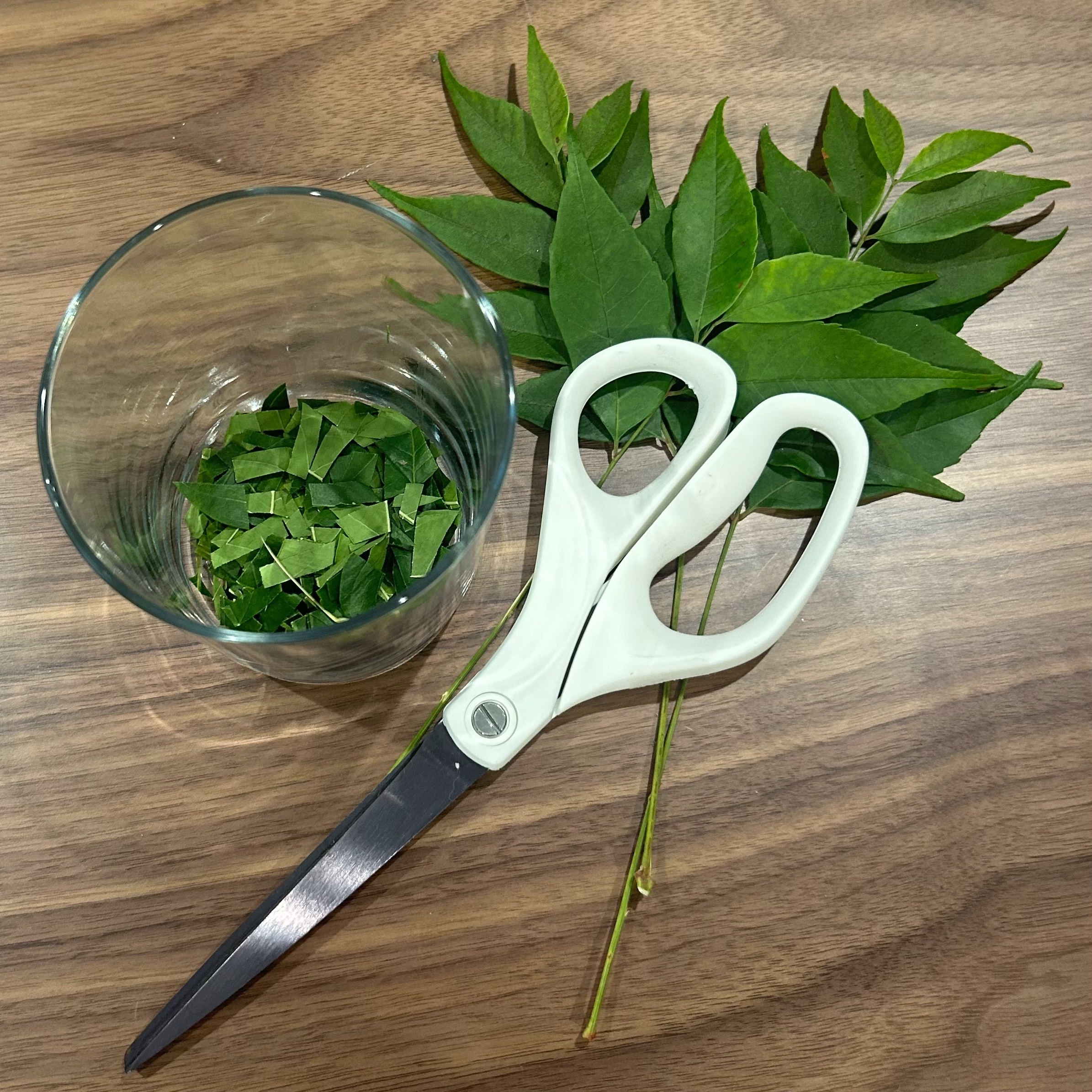 Green leaves, scissors, and cut up leaves in a glass.