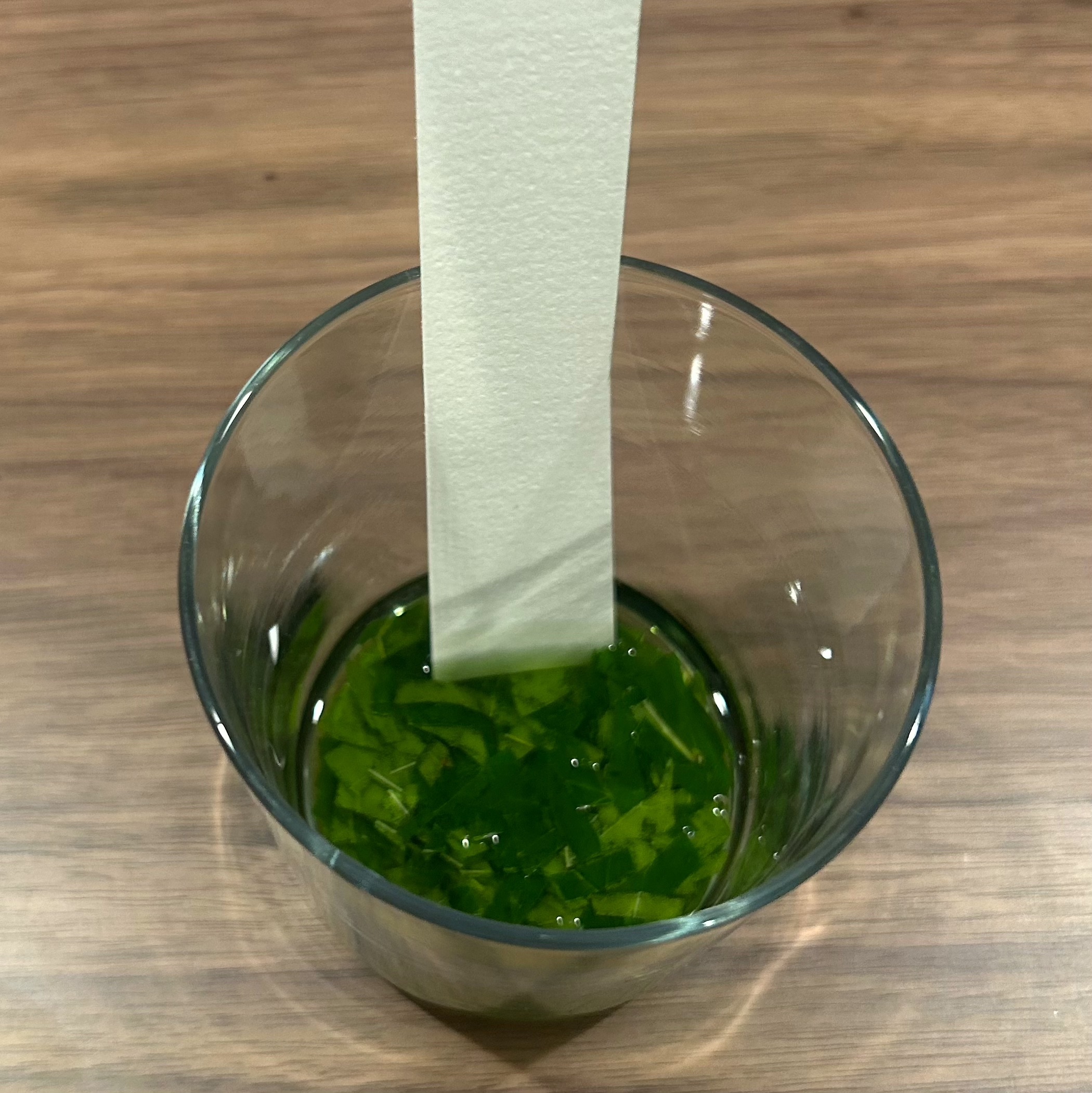 Leaves in a glass with a strip of paper in the glass.